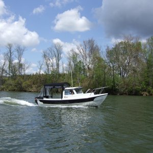 2007 0428(020)