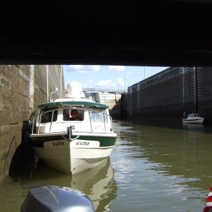 2007 0428(024)