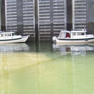 2007 0428(025)