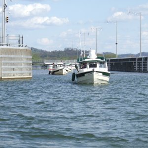 2007 0428(031)