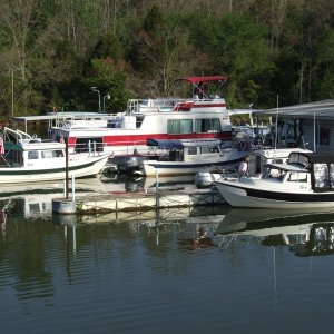 2007 0429(003)