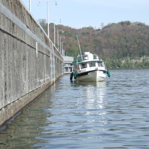 2007 0501(001)