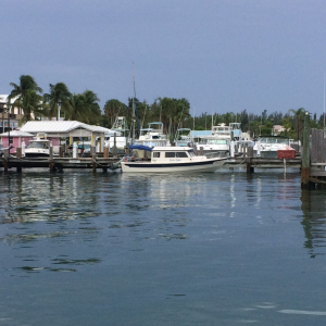 Media '\"Dori Den\" The Little Boat That Could :-)' in album 'Dick, Juanita, Daryl and Gerry (left to right)'