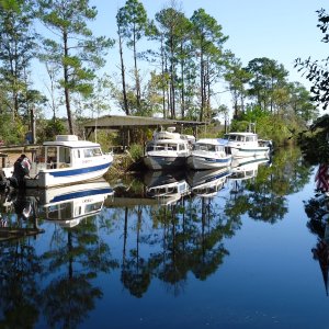 C-Dories at Rivercrest