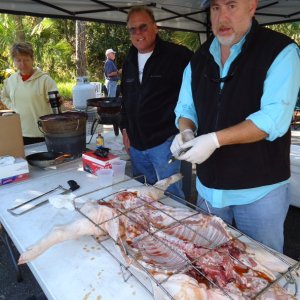 Pig