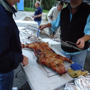 Pig after