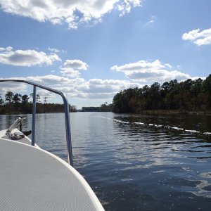 Media 'Apalachicola River' in album 'C-Dories at Rivercrest'