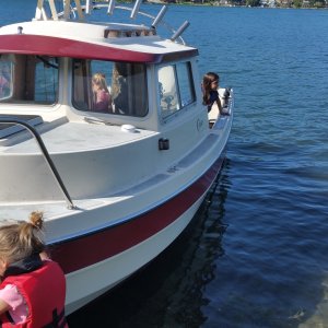 Media 'Test run' in album '2 C-Dorys Shrimping trip'