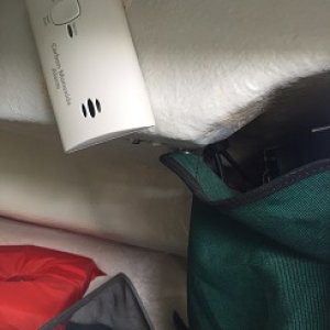 co detector