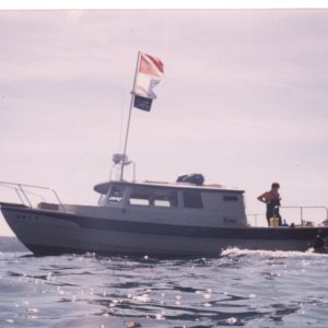 (Sea Cowboy) Sea Cowboy at work