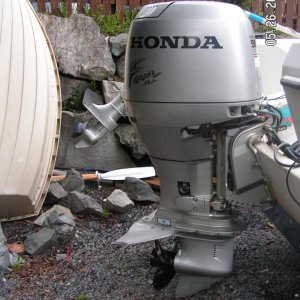 \"Miss Amelia\"- Honda 4-strokes w/dolphin