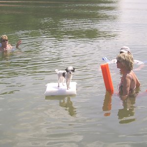 Media 'Jim & Loree \"Duck\" visit Lake Martin' in album 'Jim & Loree \"Duck\" visit Lake Martin'