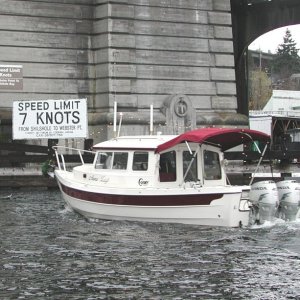 Anna Leigh Under University Bridge