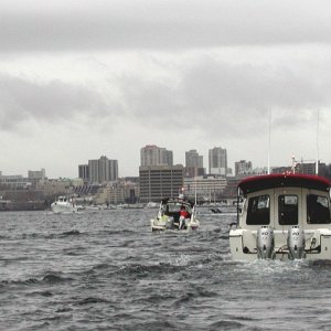 Sea Shift, Anna Leigh and Seattle Skyline (Unless You Are the Lead Dog, the View Never Changes!)