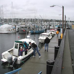 Mini C-Pod at Fisherman's Terminal Public Float