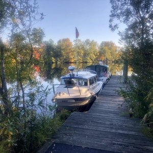Media 'Almas Only and Osprey,moored at Locks Park' in album 'Almas Only off of Downtown Norfolk'