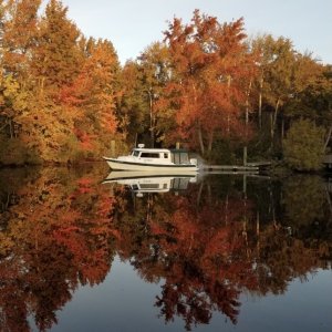 Media 'Osprey Moored at Locks Park' in album 'Almas Only off of Downtown Norfolk'