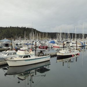 Friday Harbor fishing fleet