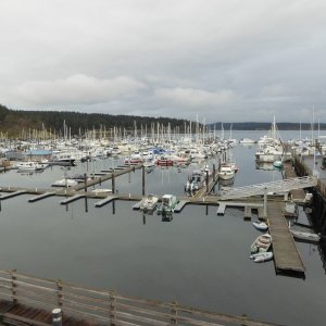 View from Marina Office