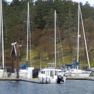Sunday afternoon. Surrounded by sailboats.