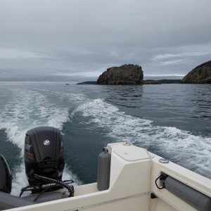 2900 rpm and 10 kts