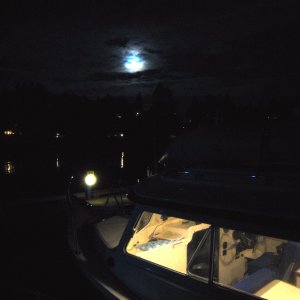 Swantown Marina in Olympia