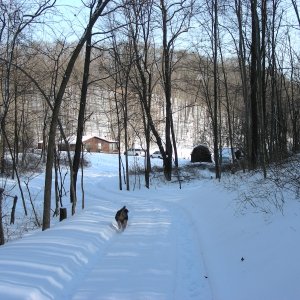 Cabin in winter.  A 61 acre wooded valley with a 2 acre stocked lake in the middle of Amish country.  The nearest neighbor is 1/2 mile away and it's only an hour from home.