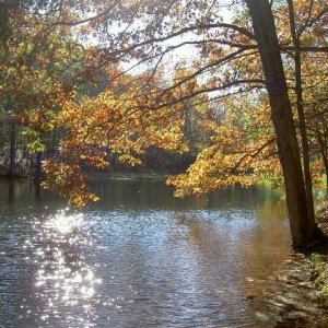Our lake in the fall.
