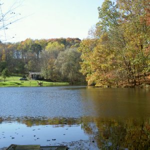 Looking toward the cabin from the dam.