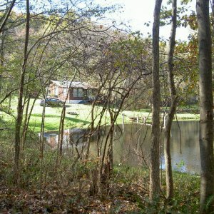Looking at the cabin from one of the trails.