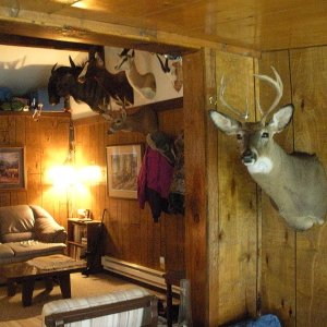 View from entry area and the cabin's permanent residents, some of whom we met in Africa four years ago.