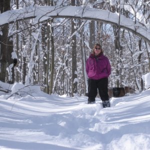 Media 'Snow arch in our woods / Feb 2010.  18" in one night!  This has been the snowiest Feb since records have been kept.' in album 'Cabin in winter.  A 61 acre wooded valley with a 2 acre stocked lake in the middle of Amish country.  The nearest neighbor is 1/2 mile away and it's only an hour from home.'