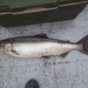 02/09/2014