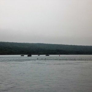 Sept. 6/2014
Spotted a doe and two fawns swimming to Sugar Island this morning. Three dots in the center for-ground.