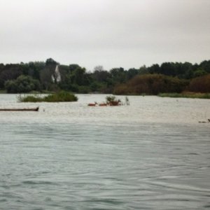Sept.6/2015
The deer turned back because of the fishing boats. Yesterday I saw a huge Surgeon leap straight up right out  of the water. Great stuff.