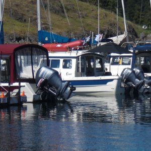 Nomad, Friday Harbor.