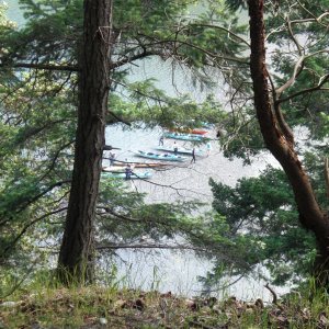 Kayaks in Reid Harbor, Stuart Island.
