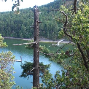 Reid Harbor, Stuart Island.