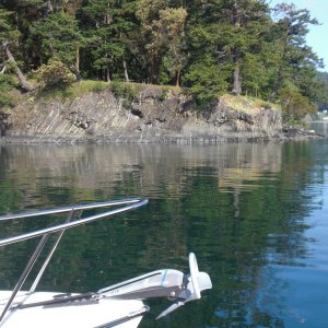 Looking back at last night's camp fire site, Prevost Harbor.  You can just make out the picnic table.