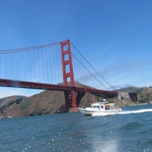 Under the Golden Gate Bridge.