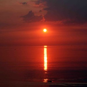 Dawn