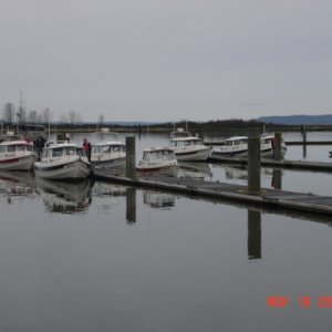 More C-Dorys at the Everett dock