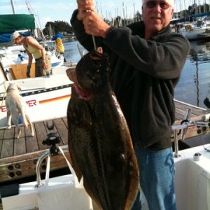 38 pound California Halibut 2009 ..off Golden Gate