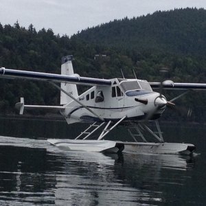 Media 'Turbo Beaver come to visit at Saturna' in album 'A bit of chop passing Thetis Island'