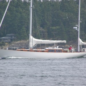 Media 'Saw this going through Cattle Pass.  THE SEXIEST sailboat I've ever seen.' in album 'Saw this going through Cattle Pass.  THE SEXIEST sailboat I've ever seen.'