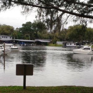 2015-02-26 Cdorys at Hontoon State Park Marina