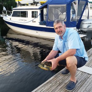 Media '2015-03-05 Turtle at Boat Tree Marina, Sanford, FL' in album '2015-02-23 Florida bound'