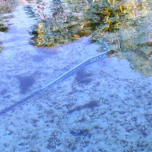 2015-03-09 Delta plowed in at Silver Glenn Springs in 3 feet of water