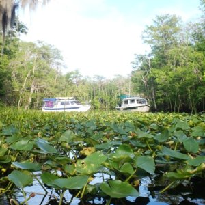 Anchored along the Ocklawaha.