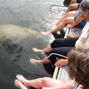 Made a friend at Deleon Springs.